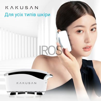 Микротоковый Массажер для лица KAKUSAN KKS-188  буккальный EMS + LED для подтяжки кожи лица и шеи - 3 299 грн