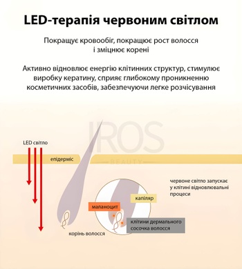 Массажер для головы с функцией LED - терапии KAKUSAN KKS-162 - 3 999 грн