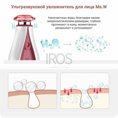 Увлажнитель для кожи лица Ms. W Fregrante Nano Mist Sprayer  - 1 999 грн