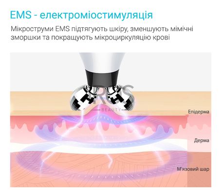 Мікрострумовий масажер для обличчя роликовий міостимулятор з EMS KAKUSAN KKS-186 - 1 999 грн