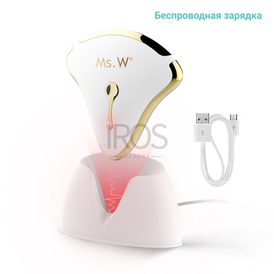 Массажер для лица FACE-LIFT ll skin facial massager Ms.W для микротокового лифтинга подтяжки и омоложения кожи - 3 999 грн