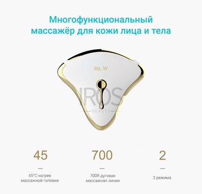 Массажер для лица FACE-LIFT ll skin facial massager Ms.W для микротокового лифтинга подтяжки и омоложения кожи - 3 999 грн